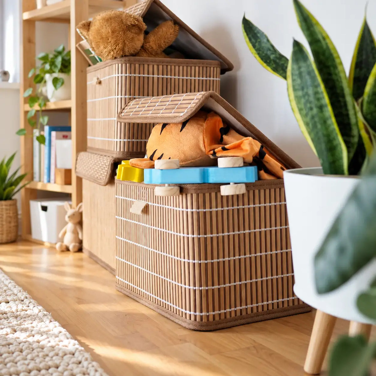 Storage Solutions