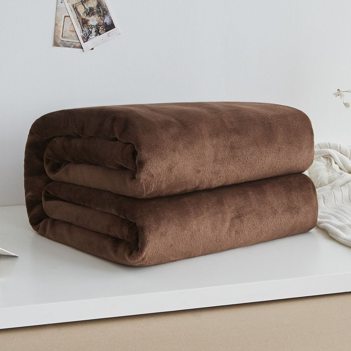 Thick Solid Color Coral Fleece Winter Blanket