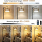 Farmhouse Arc Floor Lamp with Remote and Dimmable Bulb