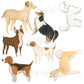 Fabric Dog Wall Decals for Nursery and Kids' Rooms